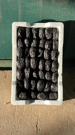 عجوة رطب فاخر