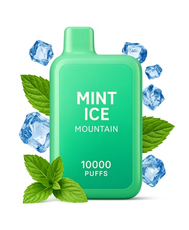 صورة جهاز ELF BAR BC10000 نكهة نعناع آيس
