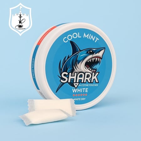 صورة أظرف نيكوتين بنكهة المنثول المنعشة بدون تبغ بديل التدخين