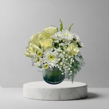 فازا المؤتمرات