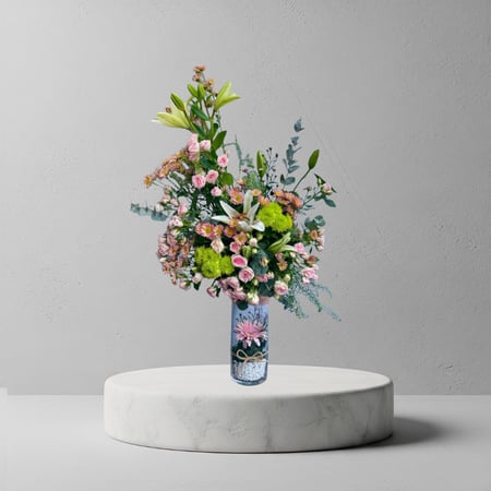 فازا الأنتعاش