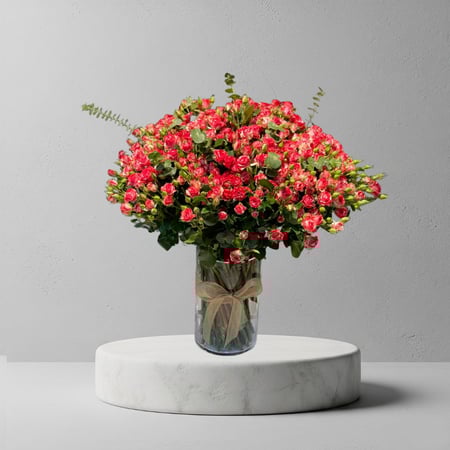 فازا بيبي روز دبل كلر