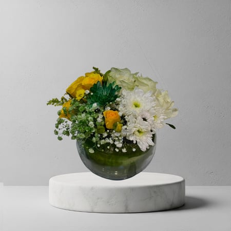 فازا دائريه للمناسبات الرسميه