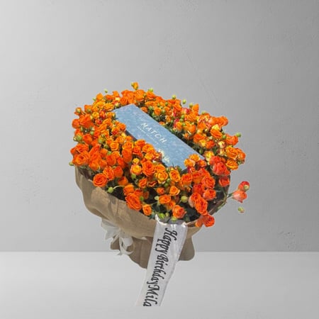 مجموعه ماتش عطور وورود