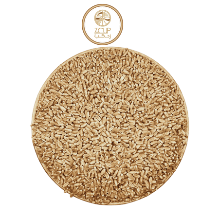 قمح بر نجران الفاخر