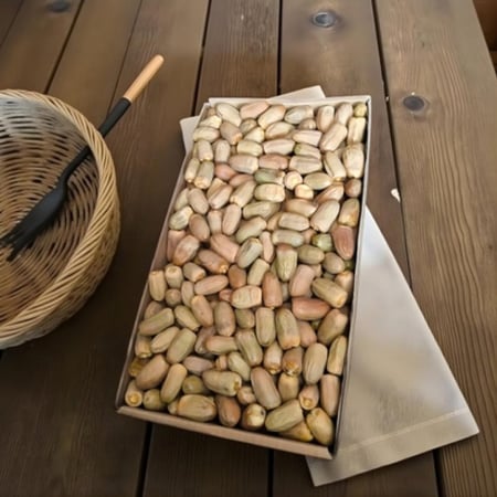 تمر قصب لبان