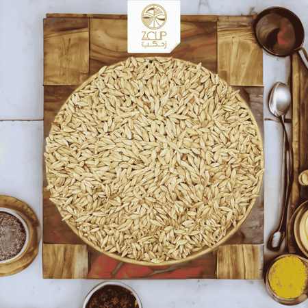 حبوب الشعير البلدي سعودي الجوف