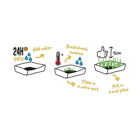 كات قريس ديوفو 70 جرام