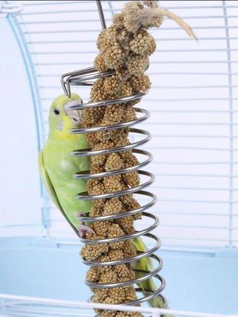 ماكِلية للطيور معلقه