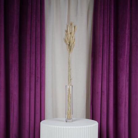 ساق زهور طبيعي مجفف بني