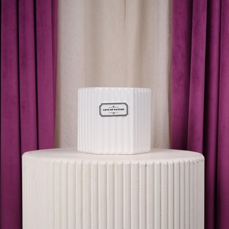 فازة ورد سيراميك سداسي ابيض