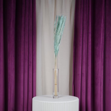 باقة بامباس تيفاني مجفف