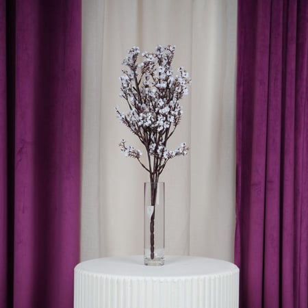 ورد ياسمين سكري