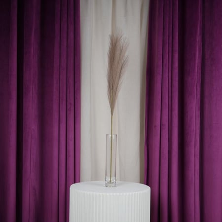 ساق ريش مجفف بني