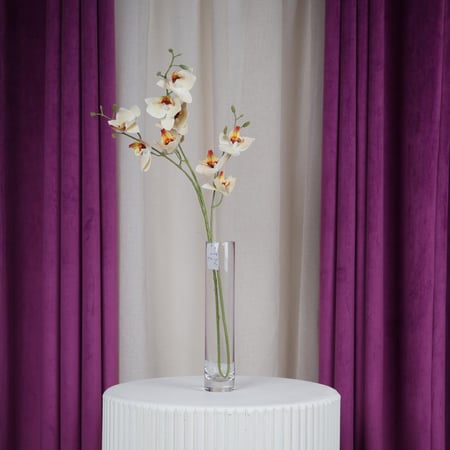 ورد السمبيديوم بيج