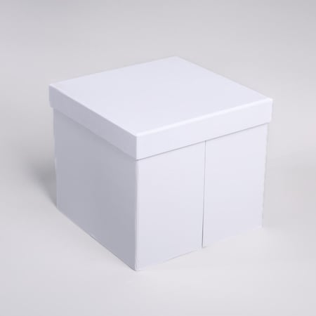 علب متعددة الأقسام أبيض