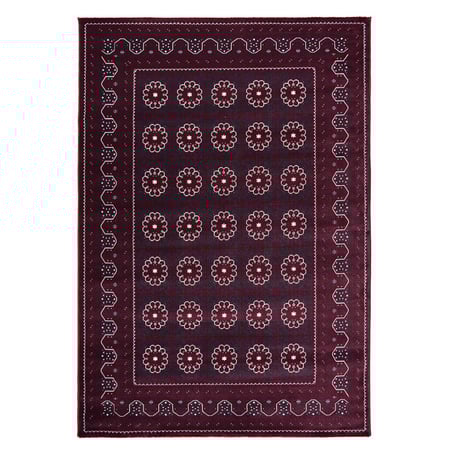 سجاد الجازي