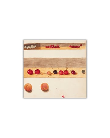 دراسة الفواكه والتوت