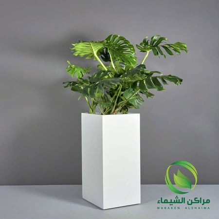 مركن زرع فايبر تصميم مودرن 80سم