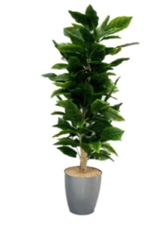 شجرة تين صناعية