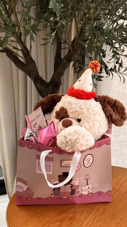 دب الميلاد حجم وسط