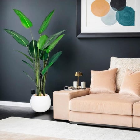 شجرة موز كبيرة حوض بلاستيك 210 سم