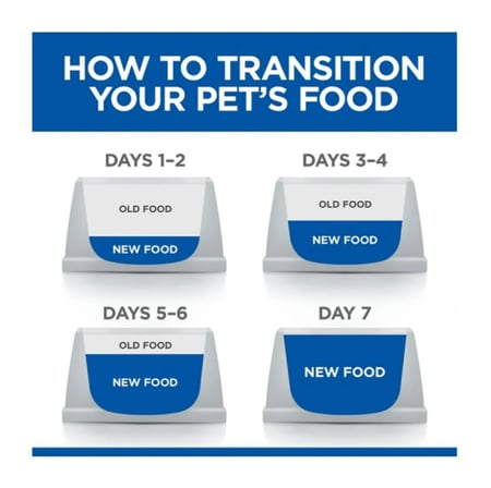 اكلات للقطط بعمر شهرين هيلز