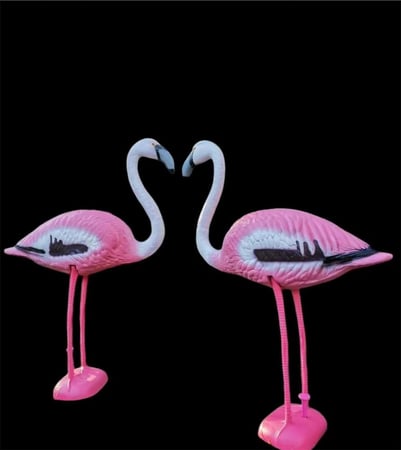 خيالات بلاستك طائر الفلامنغو بالحبة