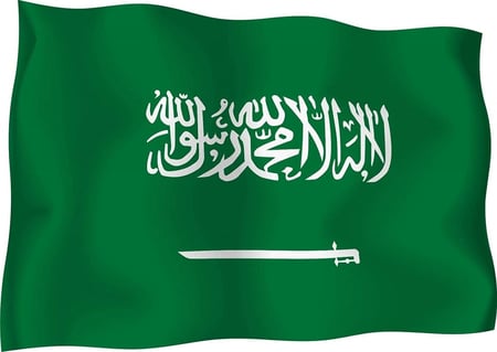 علم المملكة / 50cm *80cm