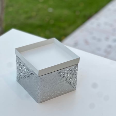 تقديمة بلون فضي