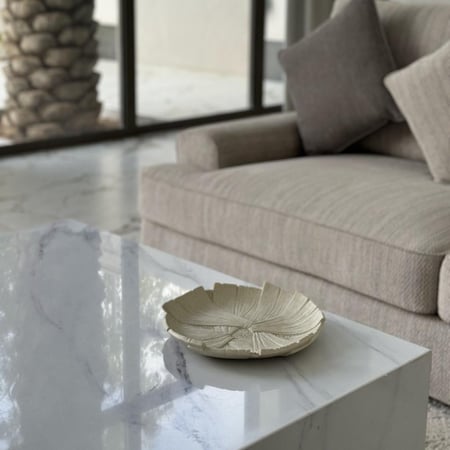 تقديمة مميزة