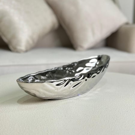 تقديمة سيراميك فضي