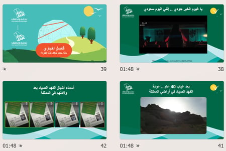 عرض بوربوينت اليوم الوطني 94
