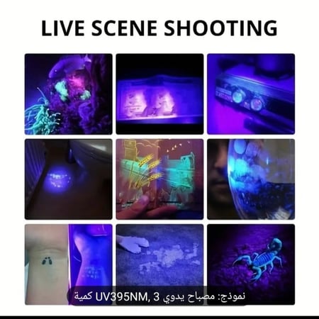 كشاف العقارب