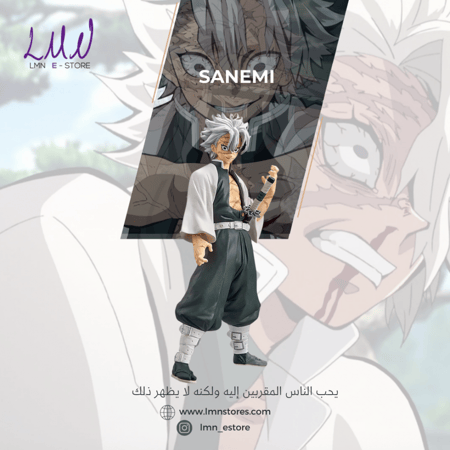 سانيمي, سانيمي قاتل الشياطين, sanemi, sanemi shinazugawa, sanemi demon