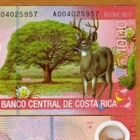 كوستاريكا فئة 1000 كولون (بوليمر) أنسر