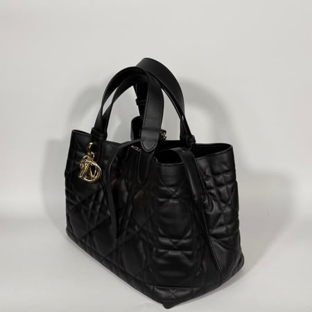 Medium Daior Toujours Bag ديور