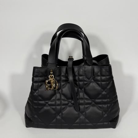 Medium Daior Toujours Bag ديور