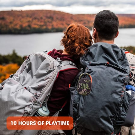 جي بي ال سبيكر كليب 4 - وردي