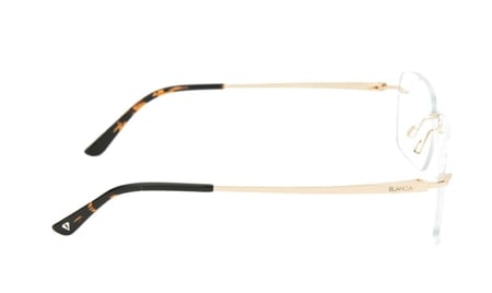 نظارة بلانسيا Blancia 367 C1