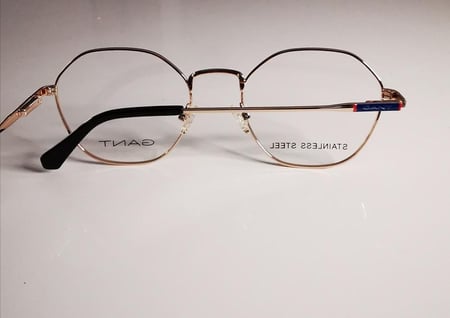 نظارة جانت Gant 3256 028