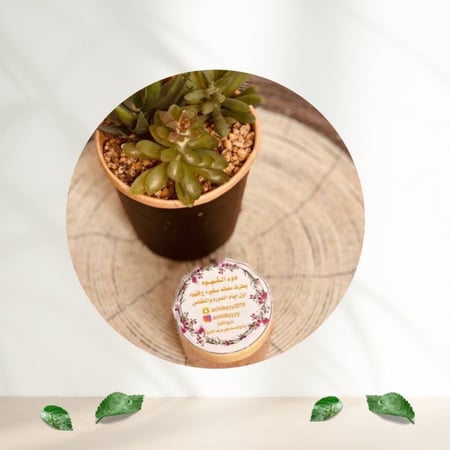 خلطه القهوه