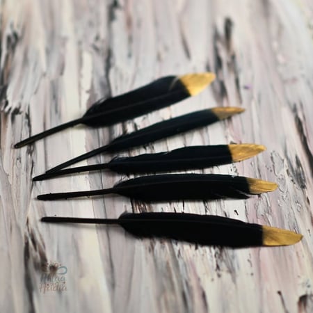 مجموعة (12) ريش اسود و ذهبي للتزين