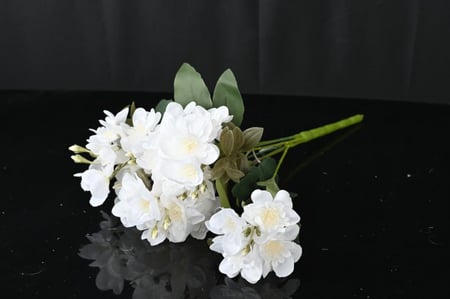 ورد ياسمين ابيض