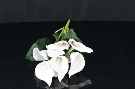 ورد كالا ابيض 9  اغصان