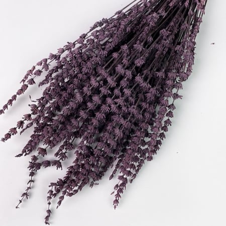 ورد لافندر مجفف