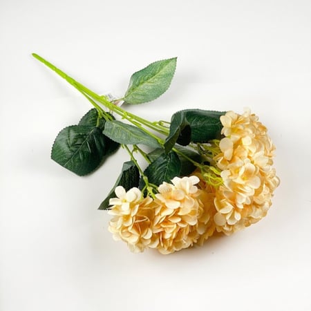 ورد هيدرنجا اصفر