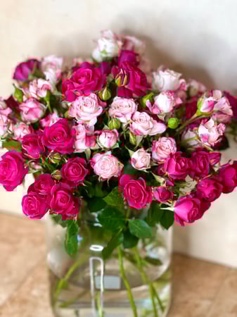 ورد بيبي جوري جمال الطبيعة في متناول يدك مع مسرات