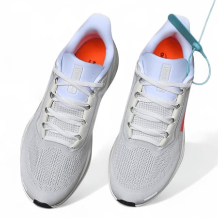 Pegasus 41