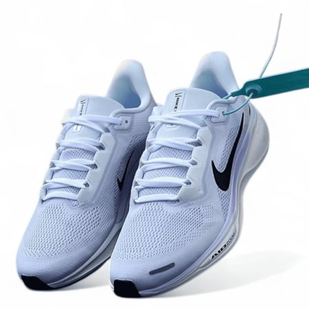 Pegasus 41
